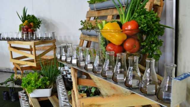 ????????????????????????????????????